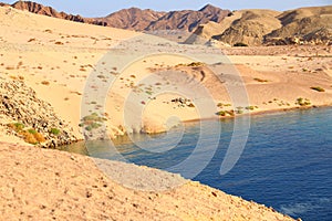 Ras Mohammad National park