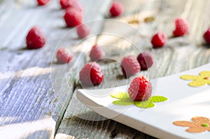 Rasberries on modern white plate on wood