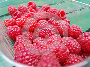 Rasberries in a pot