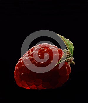 Rasberry