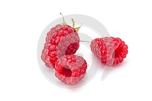 Rasberry