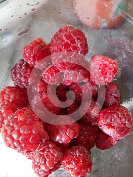 Rasberry