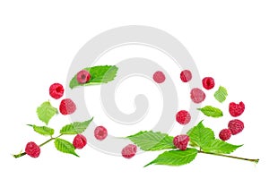 Rasberry isolated on a white background