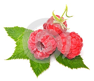 Rasberry with leaves