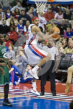 Rasheed Wallace Grabs Rebound