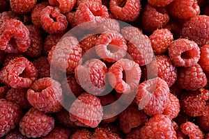 Raspberries