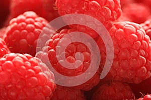 Raspberries