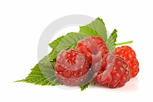 Raspberries