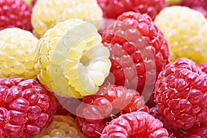 Raspberries