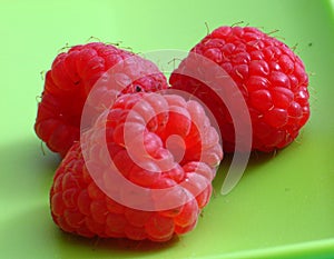 Raspberries photo