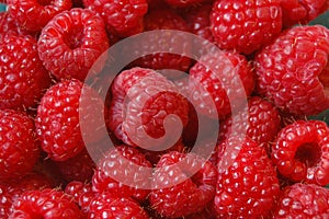 Raspberries photo