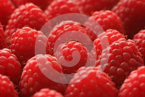 Raspberries Background