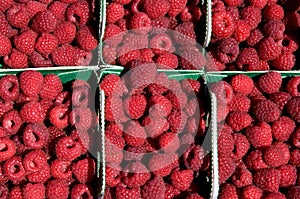 Raspberries background