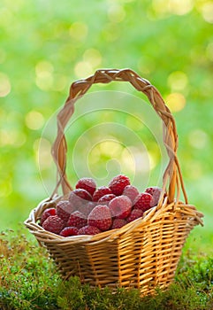 Raspberries in the basket