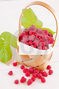 Raspberries in a basket