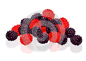 Raspberries and blackberries