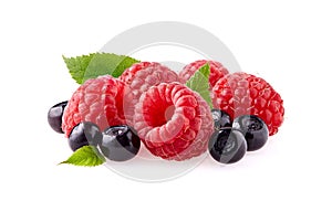 Raspberries with blackberry Isolated on White Background