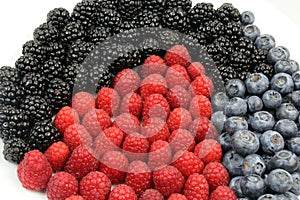 Raspberries Blueberries Blackberries