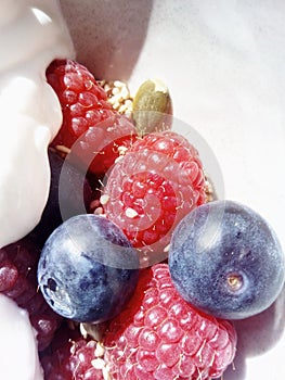 Raspberries & Blueberries & Greek Yogart photo