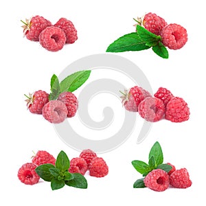 Raspberries collection