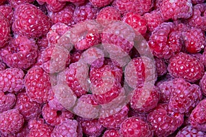 Raspberries flat lay. sweet berries top view