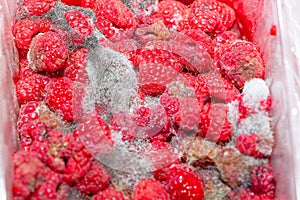 Raspberries with mold macro background