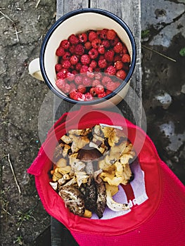 Raspberries in a mug and mushrooms in a cap.