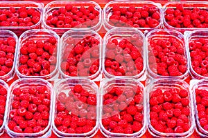 Raspberries in plastic trays