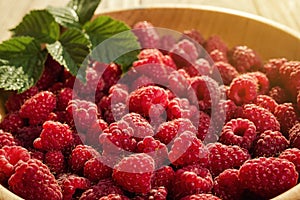 Raspberries in a plate, in wooden bowl, basket/bush branch/growing