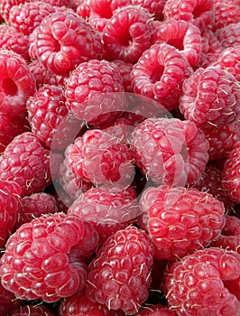 Raspberries