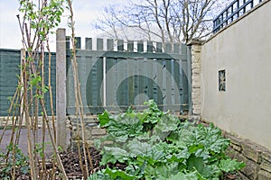 Raspberries and rhubarb garden, in March 2020.