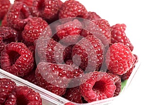 Raspberries, rubus idaeus against White Background