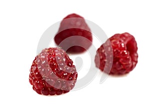 Raspberries, rubus idaeus against White Background