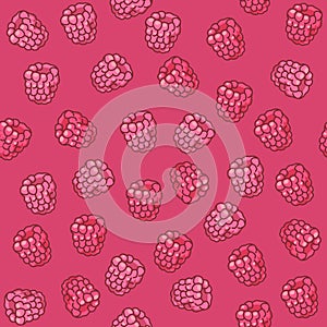 Raspberries Seamless Pattern