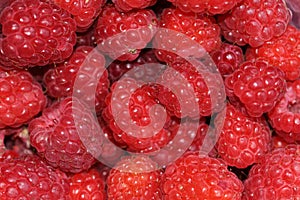 Raspberries are very healthy and contain a lot of vitamins and minerals