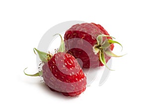 Raspberries on white background