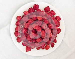 Raspberries on a white plate