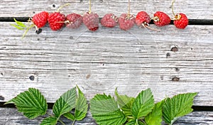 Raspberries on a wooden background. Banner size with copy space. Top view of ripe berries. Flat lay.