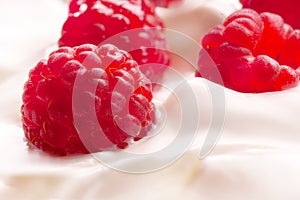 Raspberries in yogurt swirl splash