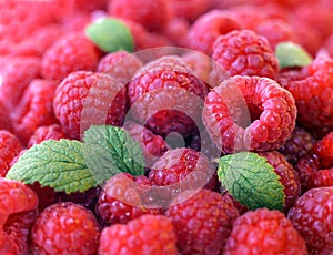 Raspberry