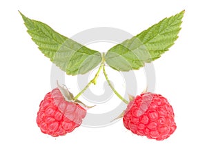 Raspberry