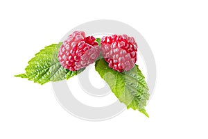 Raspberry