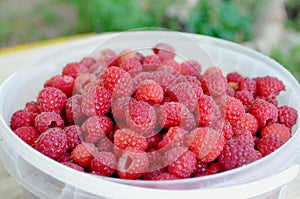 Raspberry