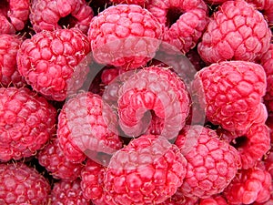 Raspberry