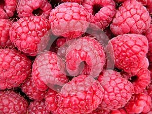 Raspberry photo