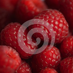 Raspberry background square composition red soft and juicy