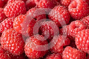 Raspberry background, top view raspberry background, top view fresh raspberry. Juicy bright raspberries