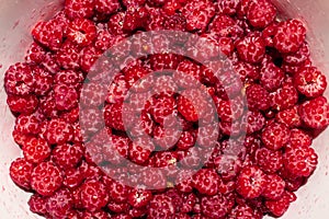 Raspberry forest berry.Raspberry background top view.