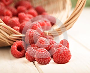 Raspberry in a basket on the table in the garden