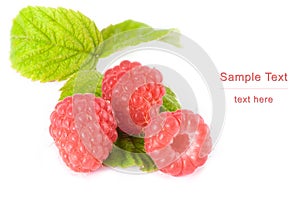 Raspberry berries